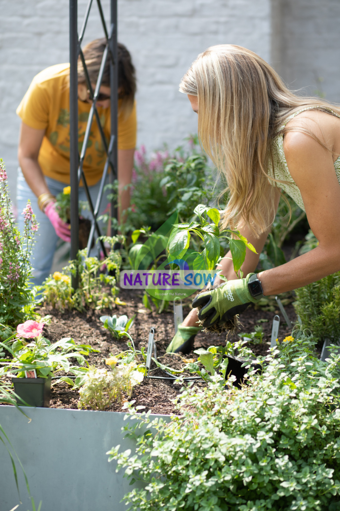 Make Money Gardening