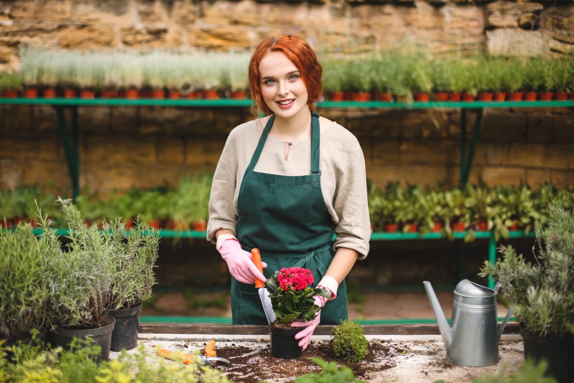 the Greatest Gardening Year