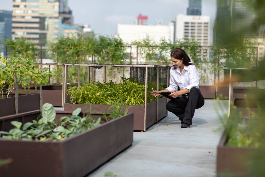 Roof garden ideas